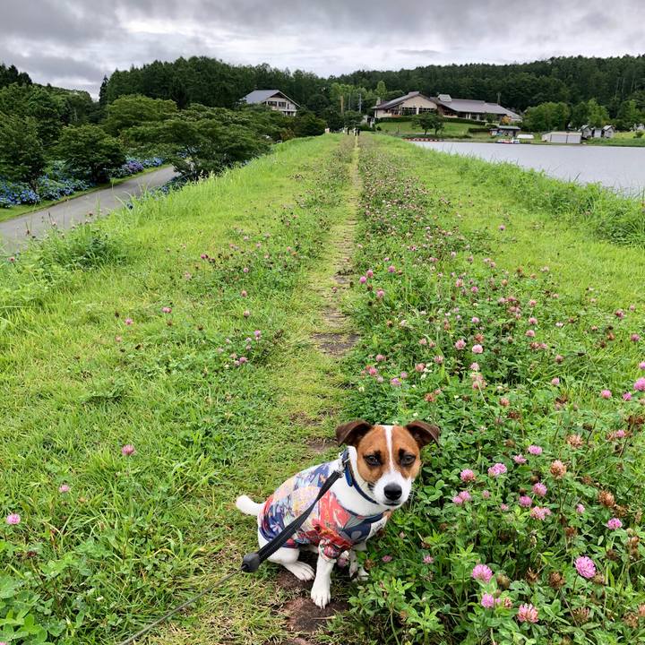 11fd93ff bb78 4dd6 a310 aef49a3eec10 1596008081948