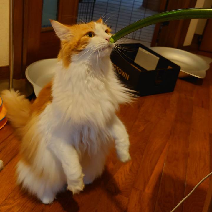 11fd9c0f 8935 41f9 9300 61d5c87868ba 1632714940664