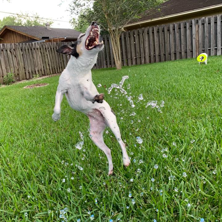 11fdae07 5f61 4435 8b8f ef50681b4143 1657230558271