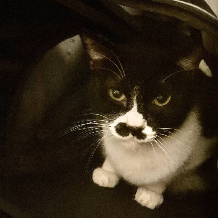 11fde29b 3e1c 483e 8b2e 44e9d3cebeb4 1699187263091