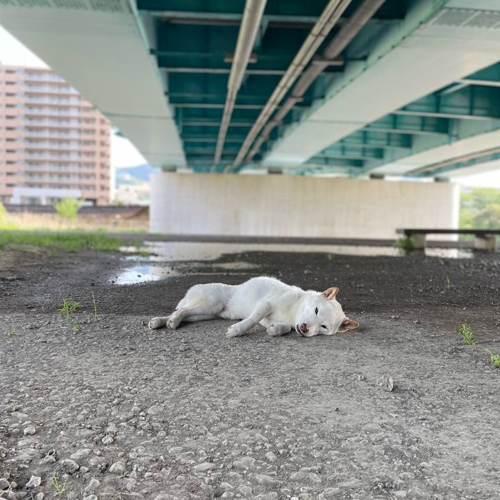 11fde42a 7212 47c1 a0ed 9b50b59f8708 1650888131711