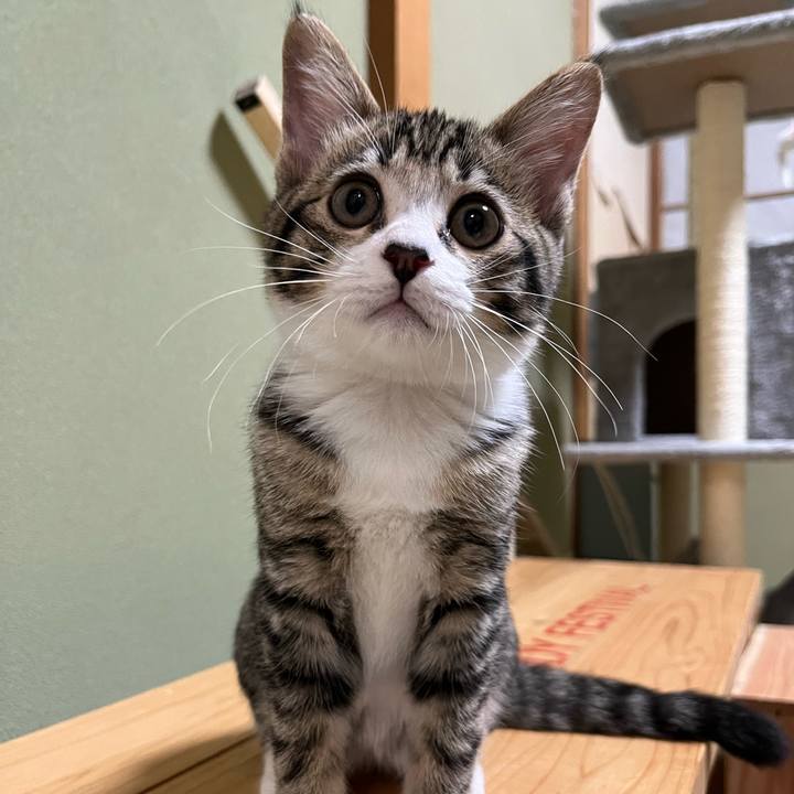 11fe322b fb2b 4d50 a875 3f939d5a0e7b 1690239125976