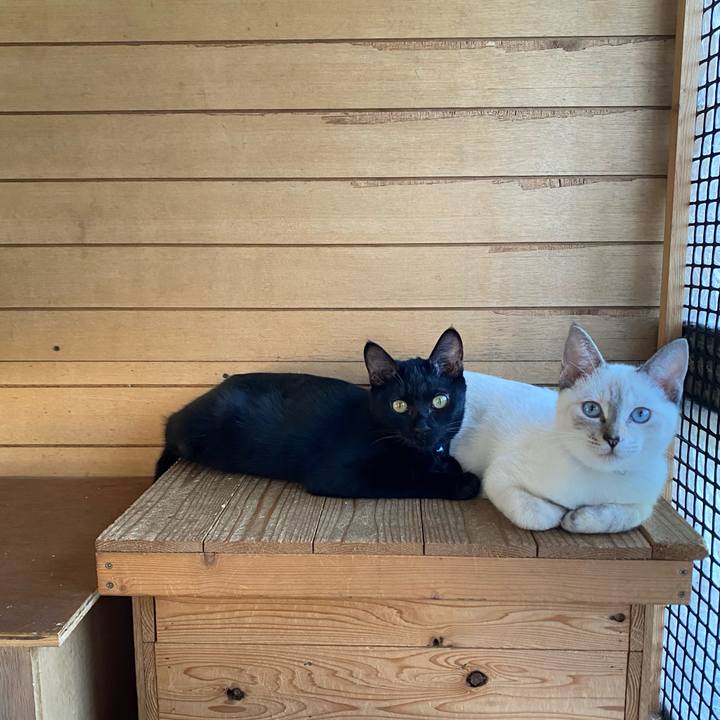 11fe4ad3 6e9d 4225 ab1b c5faf139e4b6 1633825444036