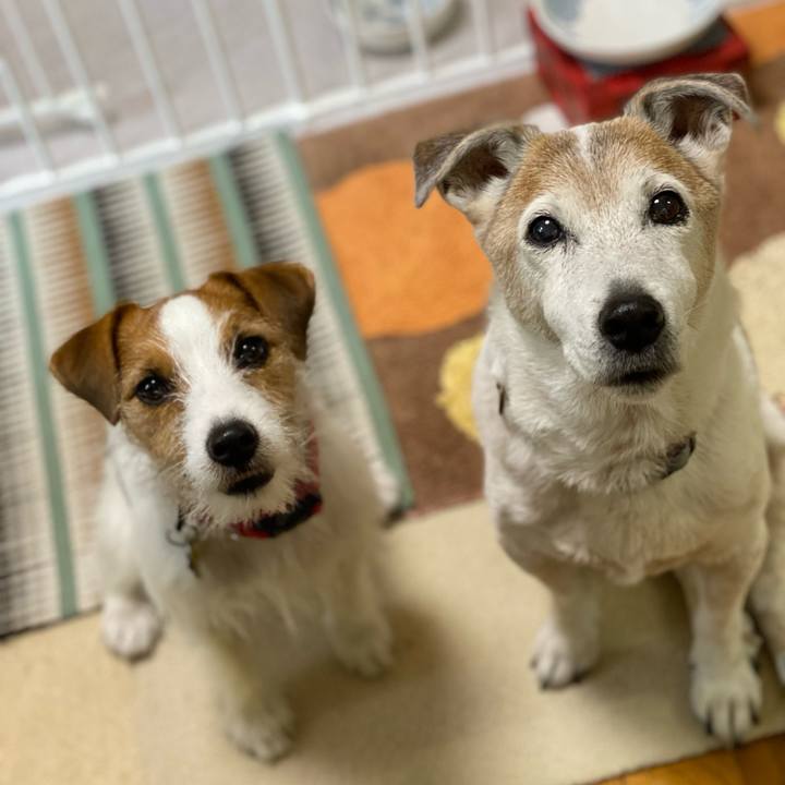 11fe654d a706 4c36 a140 ecddbd0eaa71 1651793343419