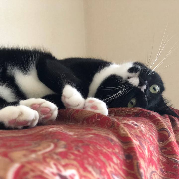 11fed74e 7ab8 4ec8 890d 1d21d7f9e831 1572089231779