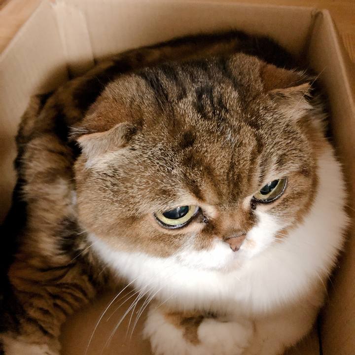 11ff0621 03c9 41eb 8e8e 631ebe47cfec 1563487174370