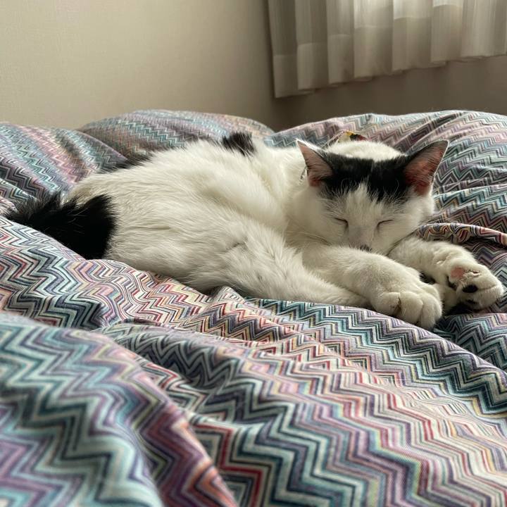 11ff3867 bdf1 426d 9287 09b30238a7db 1635811748751