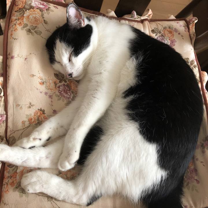 11ff41a0 7ebb 4980 9d03 b3176fccea68 1567864496226