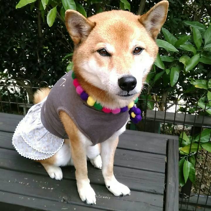 11ff6467 8dff 437d ae3d 45465cf4120b 1542170304606