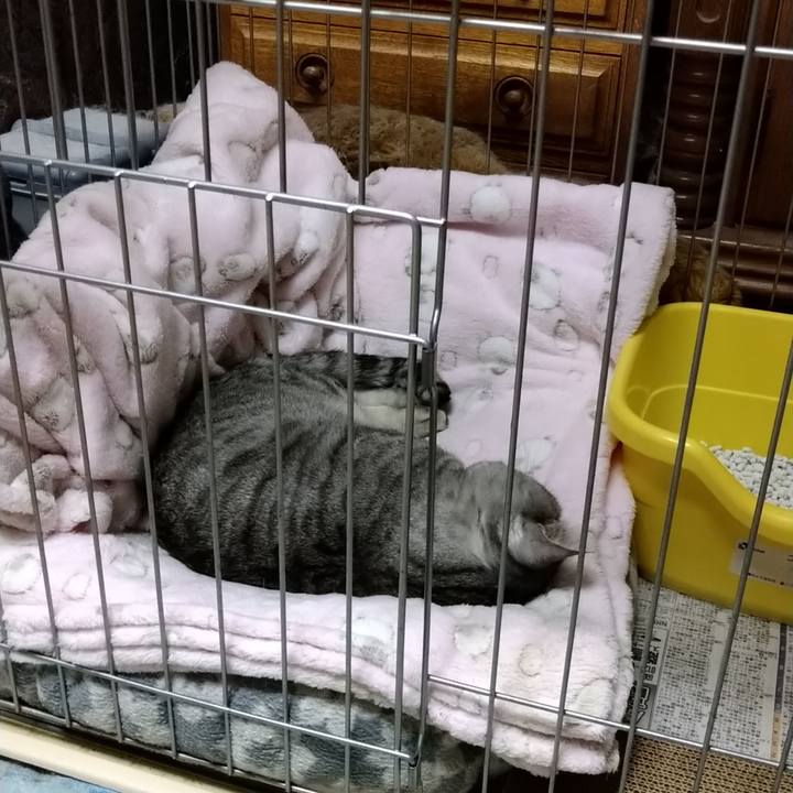 11ff8dba d4fe 4b58 8e6e 36bb06b8cdc6 1667383870678