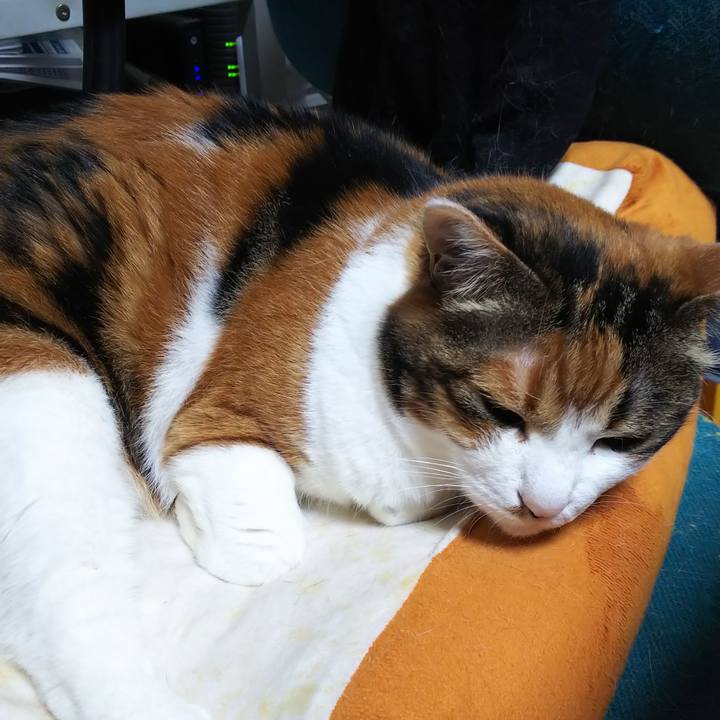 11ffdffe 62ba 4842 9b1d 1478fa194f0f 1559079977547