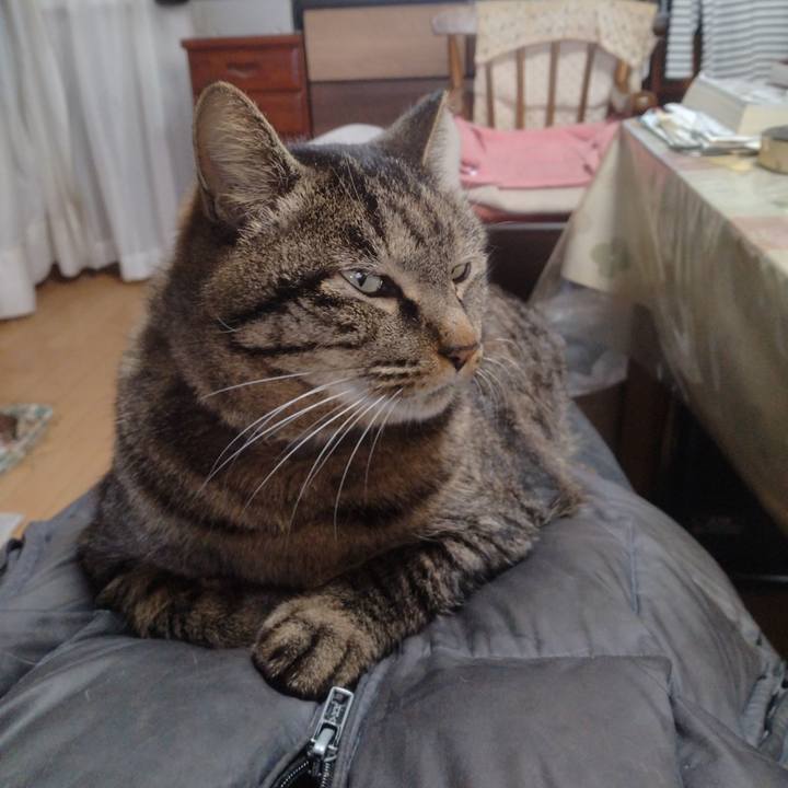 11ffedd8 7d4f 4120 8259 835544262a73 1708910424316