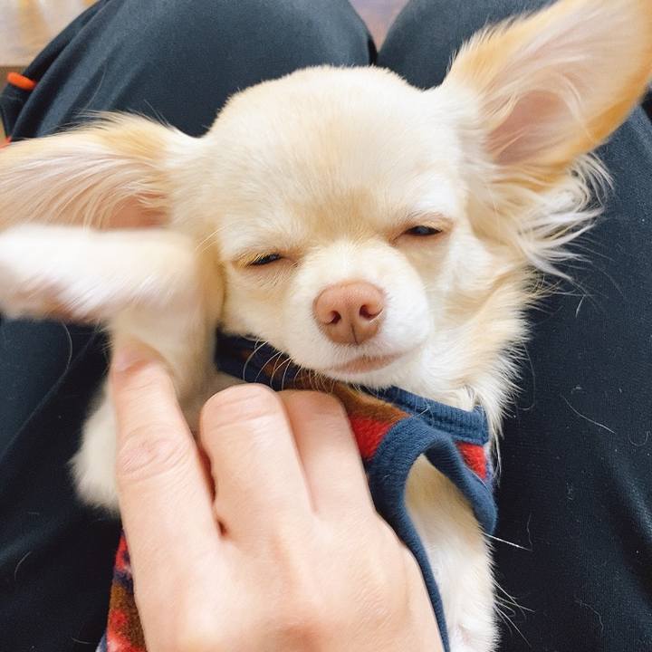 11fffb4f 6d7f 46f5 b300 8d77f4da0681 1610690629897