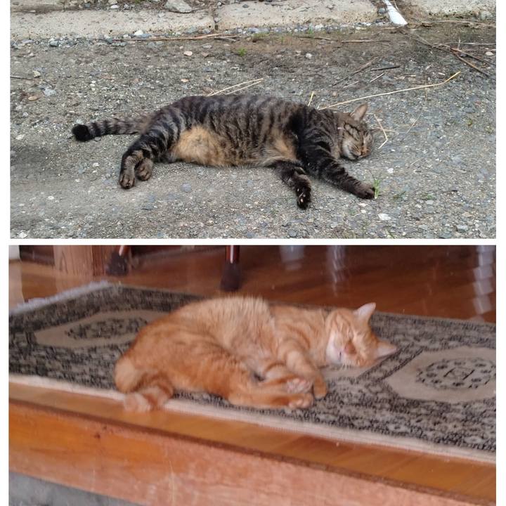 12000665 bd20 456c a082 e9ab789af3c8 1725616405750