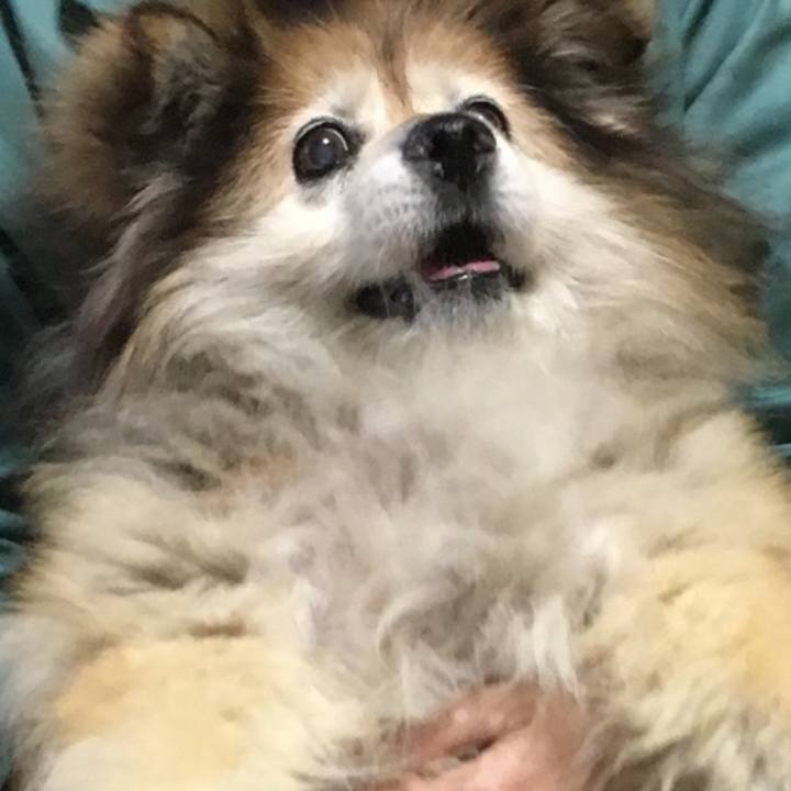 12001fb9 2b83 4269 8481 33de29e3d9d0 1593647142167