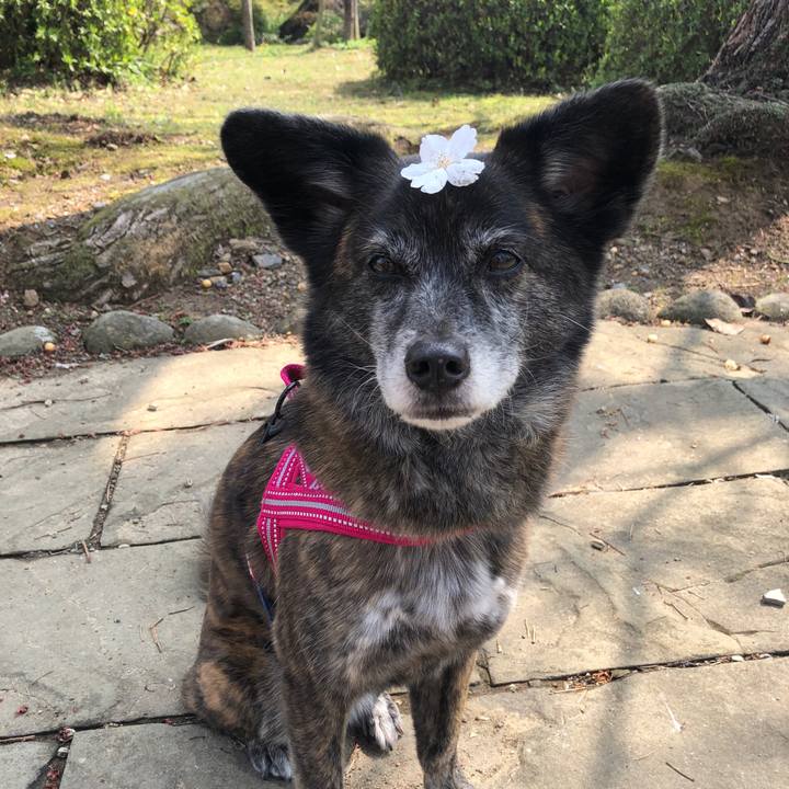 1200718a 3c35 4c2a 8c80 082465f2933b 1648683490993