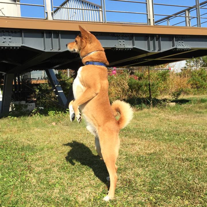 12008ef7 308b 44f9 92a8 e3275c9dc765 1509540539220