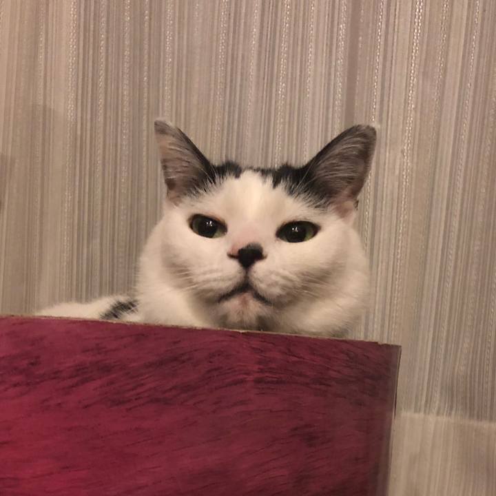 120092fb b16b 428a 86ab ca1f8ab164c6 1540818842669