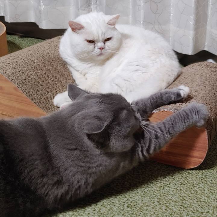 12009795 3eb2 4cd5 b5f3 a53983f9dda3 1661512709919