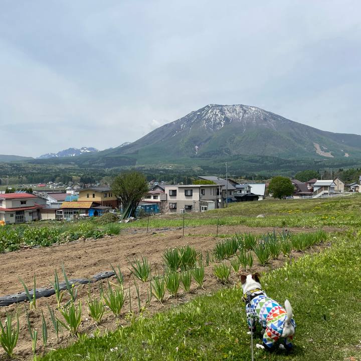 12009906 50c3 44c4 959a 91eb5de7d217 1652235912522