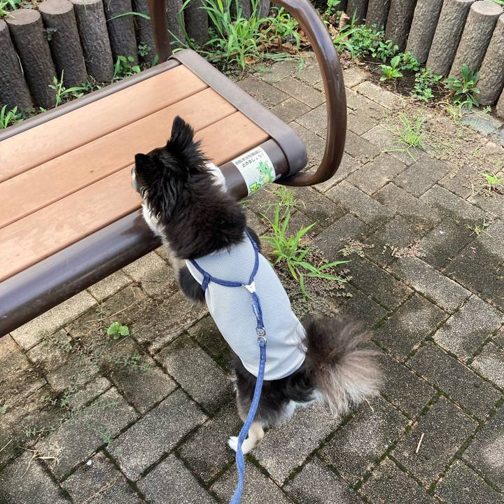 1200abbb 1ae9 418f 8be4 aea20721fd51 1693112935337