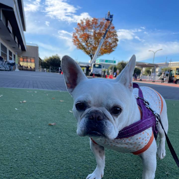 12013d71 fad9 4ef8 922d 8fc91e764d6f 1732920923109