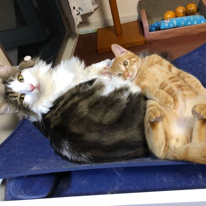 12015f73 6393 42de bd5d 91bb7aa711c1 1570350175986