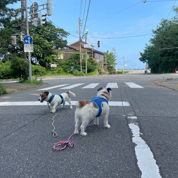 1201e3eb 24cc 4856 b8a1 4d54903659e7 1721604041367