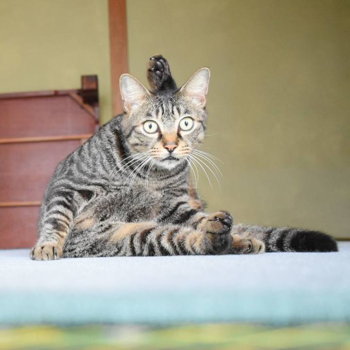 1201e7d4 603c 47c7 9e97 719777acb9a5 1535076324018