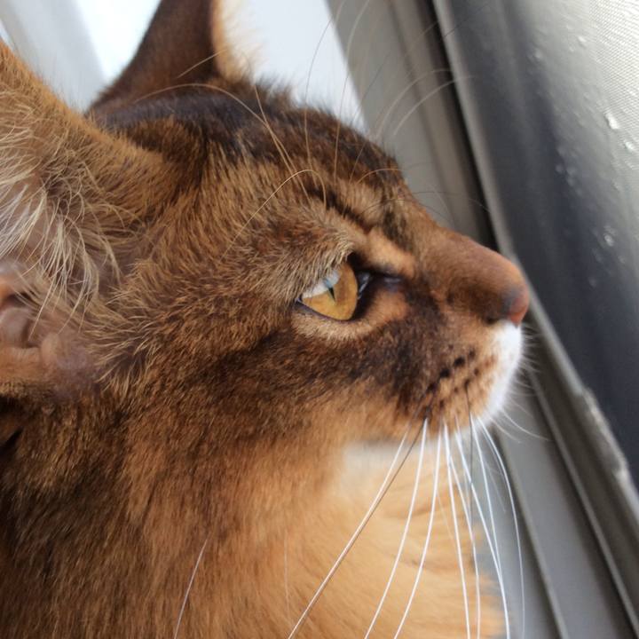 1201f849 cb7b 4e73 8e85 0d40ab2c3fbc 1617365344937