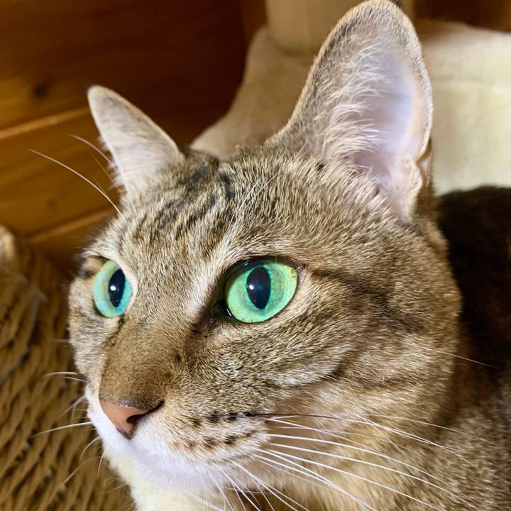 1202095d 66c2 41ac 89f6 50596c869626 1611403495479