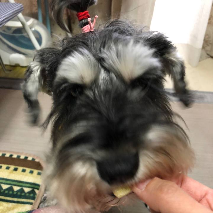 12021c0c b4ee 4719 9650 b87df804bbeb 1609570415549