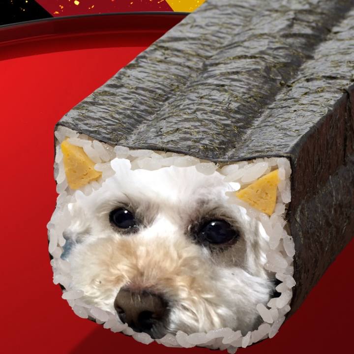 120239f8 2251 4b77 8fc1 c2495f80e9d5 1509114905653