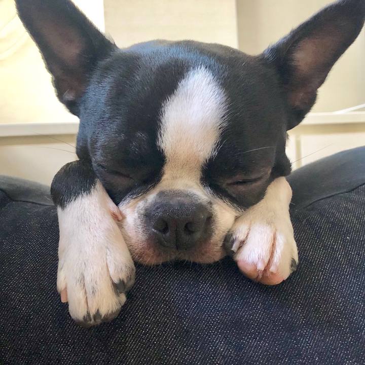 120263d9 f073 446d 9397 62d46c56f6db 1557476947813