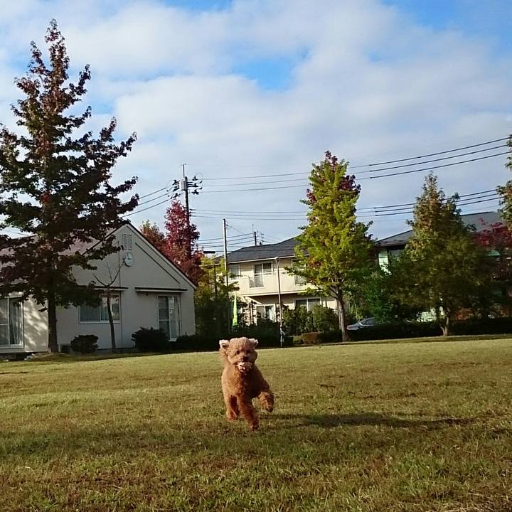 1202953c 2dc5 457d ac3d 7dd1ce7f719f 1507964113699