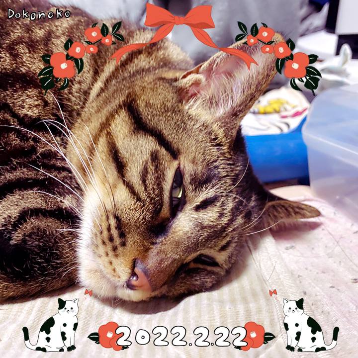 1202b569 e71b 4ea7 9d9e ca0e61b492cf 1645503433923