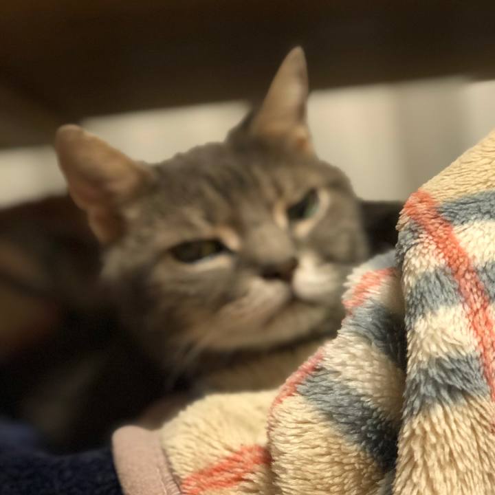 1202b6ce 09c7 443a 868c 9df049c38041 1571406816771