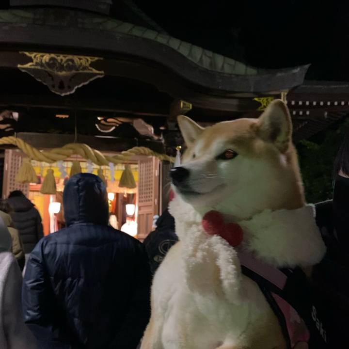 1202d23b 10a2 4300 9a69 2dc361bb1b9c 1640968783000