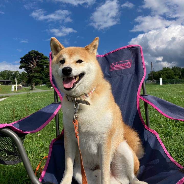 1202d76a 78bd 443a 8353 44bf67b48f1d 1689575857842