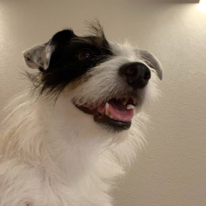 1202e401 5c58 4900 9e20 a15253ce1e20 1564833498646