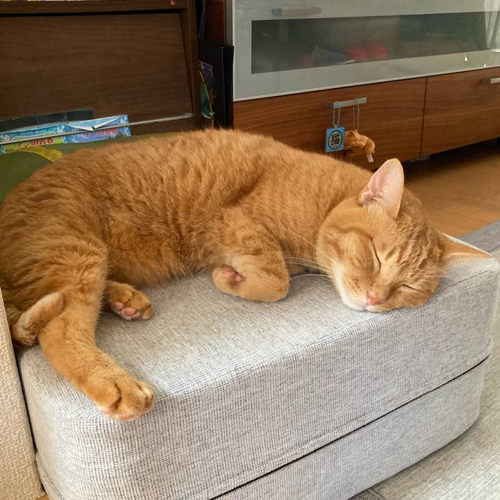 1202fbfb cd13 46cb b1da e5c982b4aac1 1760437554523