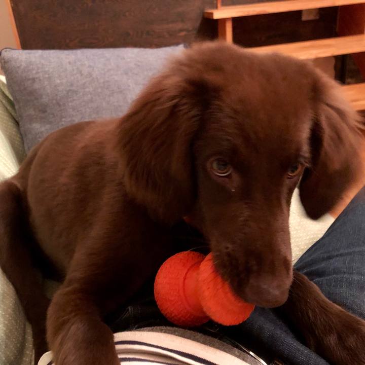 120303a4 c8d4 41a9 8224 ab761326c874 1557399598028