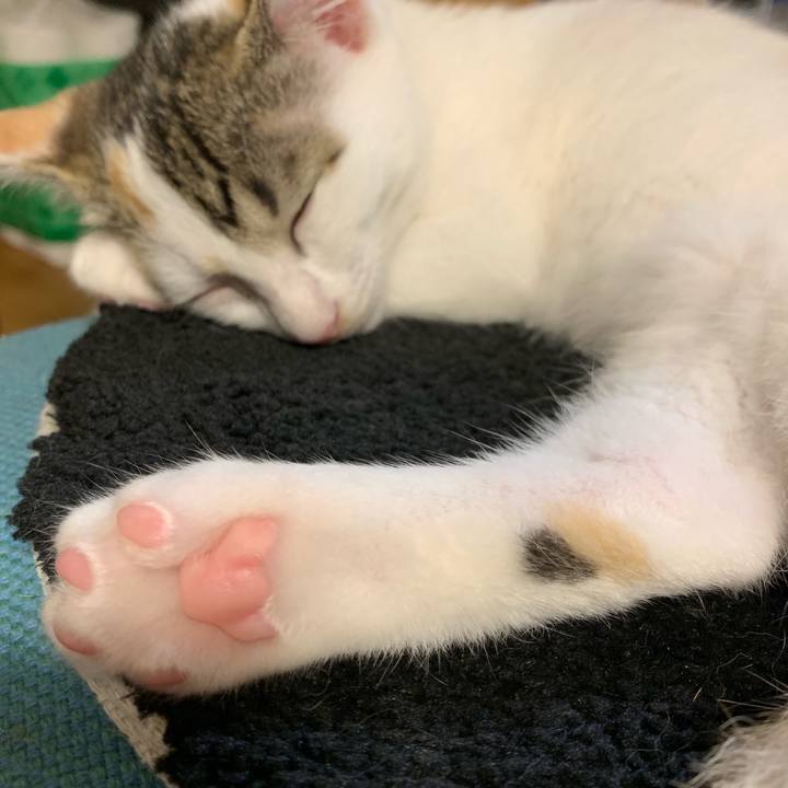 1203254f 6e57 4e5b b59e a6a7bd770e7b 1594080839345