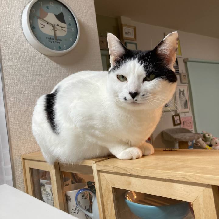 12034832 4326 4991 bc47 0b5b5ec89bae 1770065428860