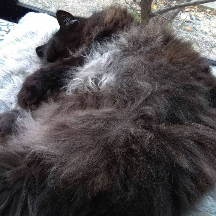 12034c08 3be4 4248 ba91 3cb51e124ee6 1510707341102