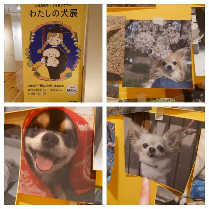 120363bc ab9f 4c22 a620 0c80e0a84f4e 1776407023401