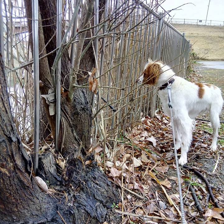 12039f47 d43c 4fb5 9815 b59c1e844448 1515399106444