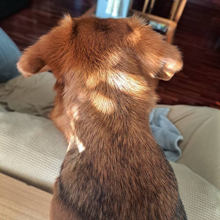 1203e15d 6ba8 45d0 ac52 aade981081cd 1773659751969