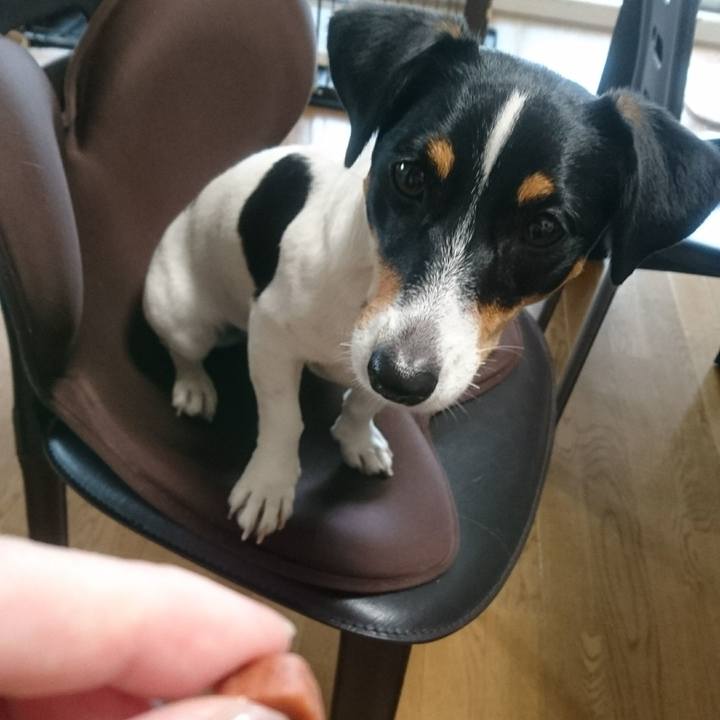 1203e5f0 433e 47b5 9986 743b3b268821 1560585119592