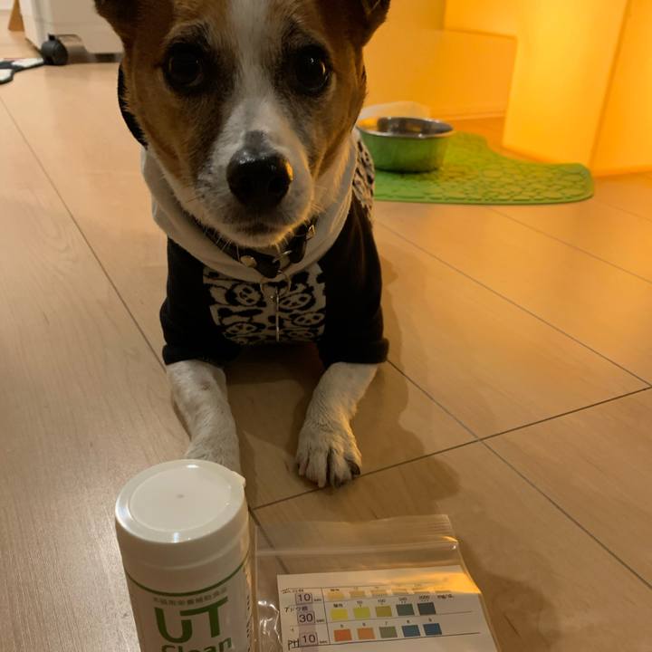 1204146d a497 4d97 a0a2 9fbd5952aa2f 1579077586304